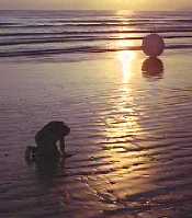 Ou sont mes lunettes ?